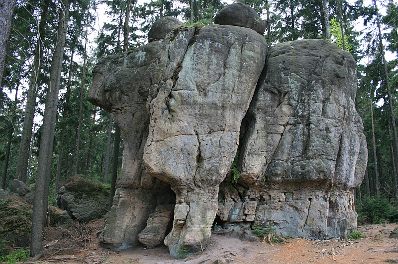 Original image